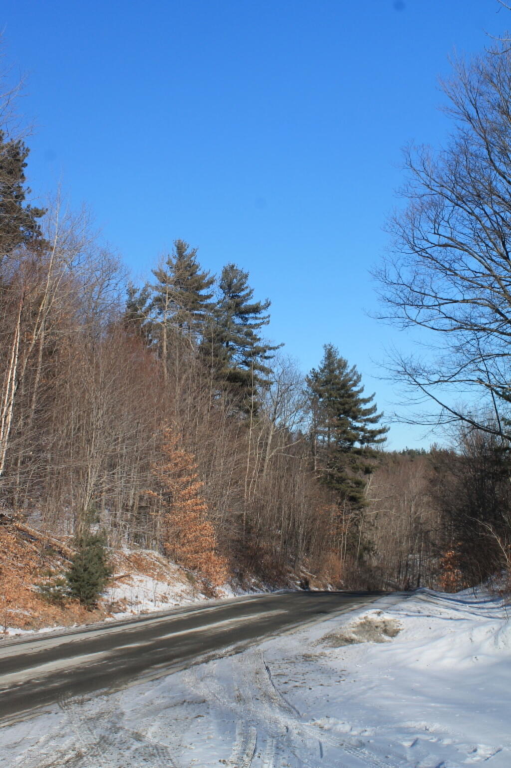 Photo: Pilfershire Road