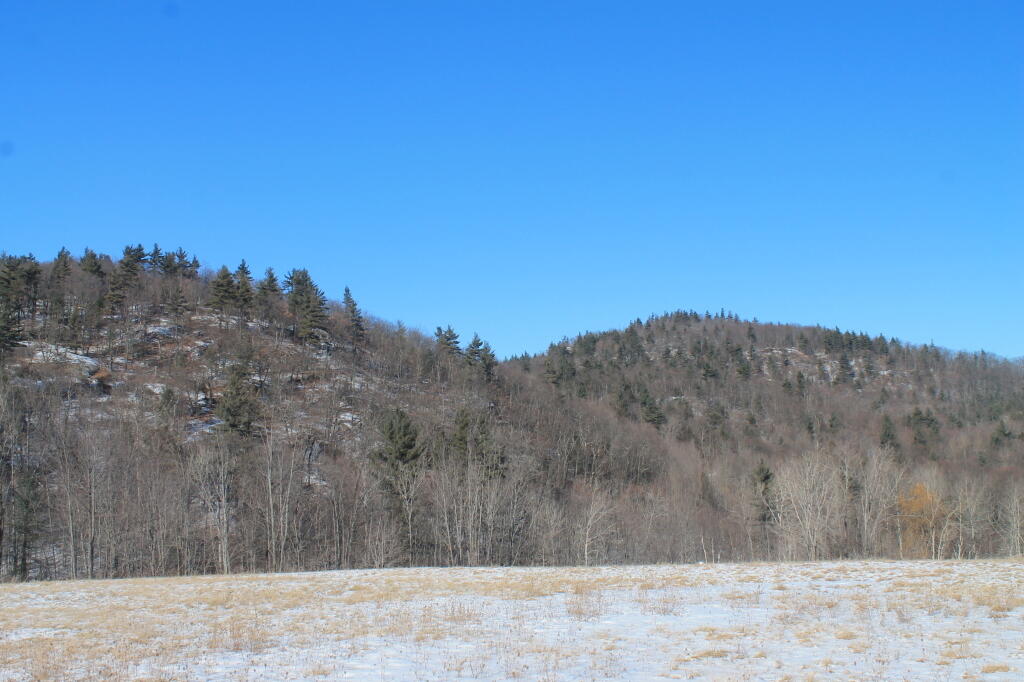 Photo: Cheney Mountain from Moriah Landfill