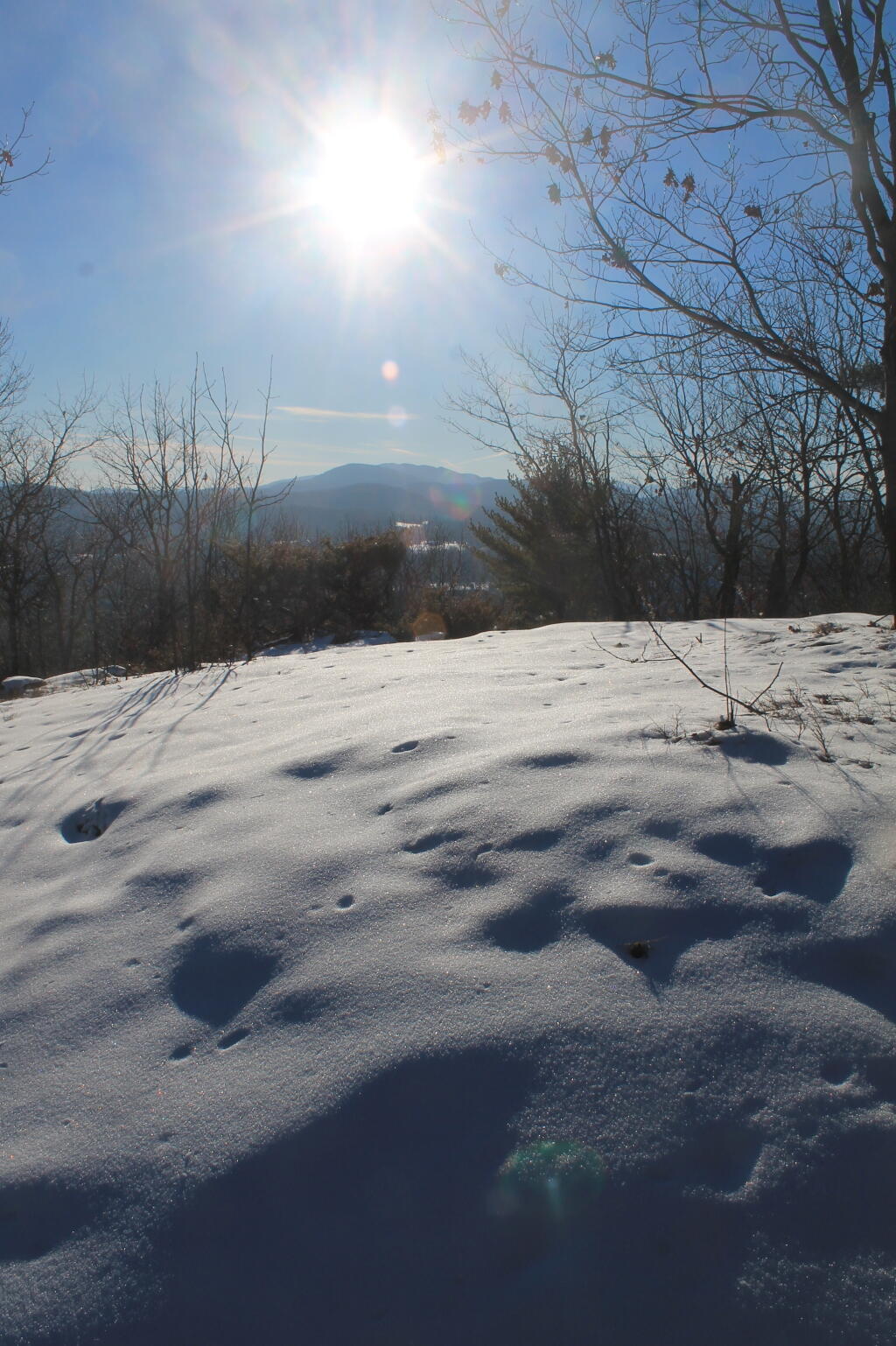 Photo: Snow