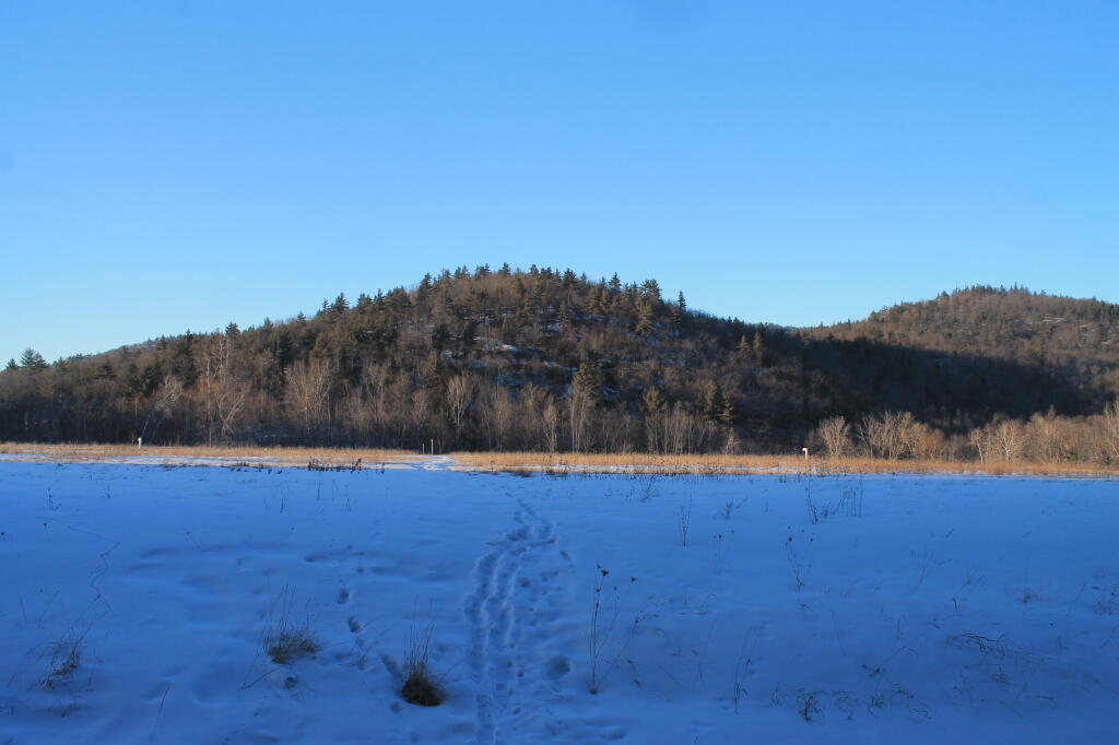 Photo: Across the Old Landfill