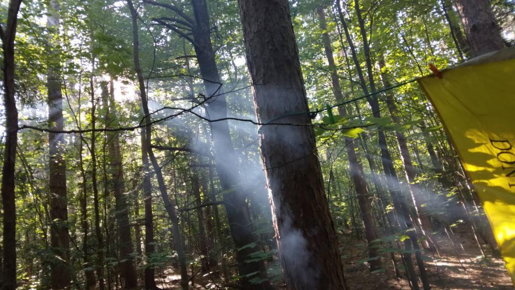 Photo: Campfire Smoke