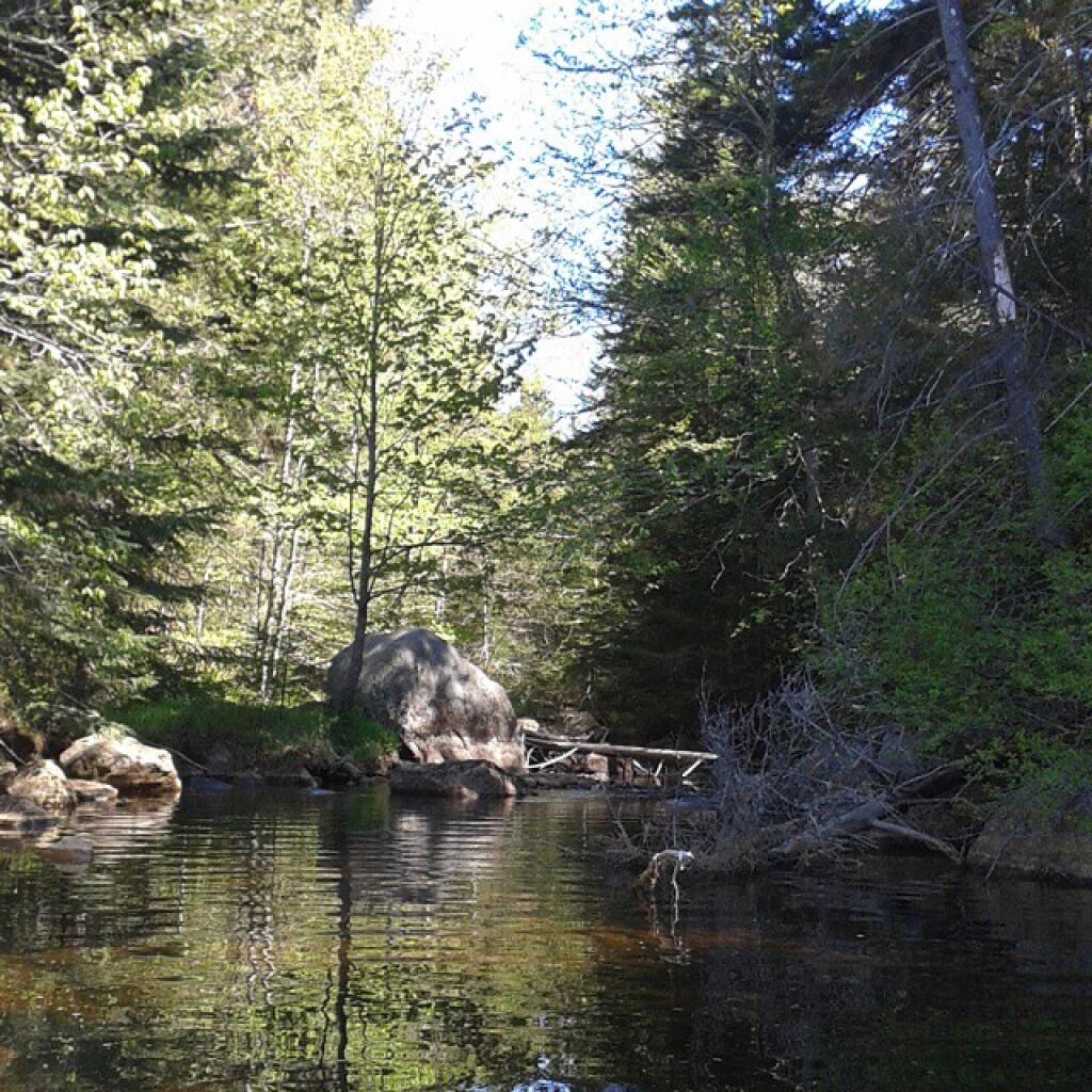 Photo: Ice Cave Creek
