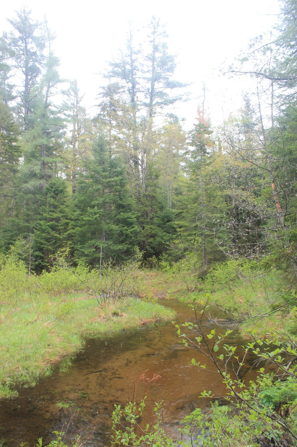 Photo: Photo.2013.05.26 15.14.49