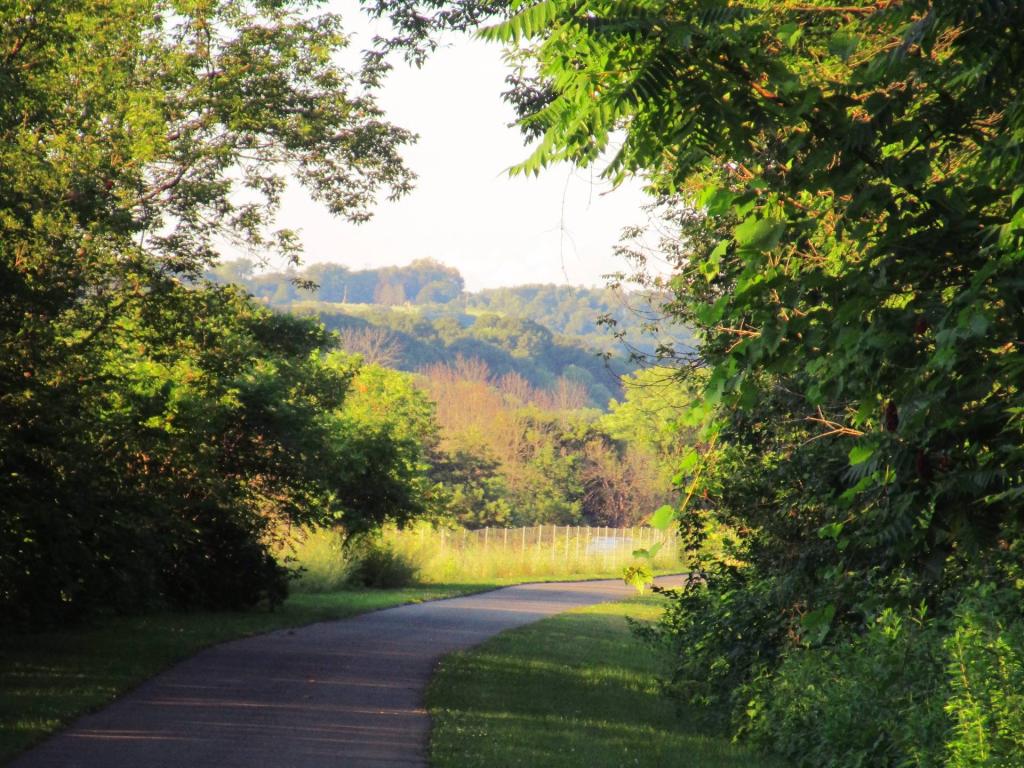 Photo: Above the Thruway Photo: Above the Thruway