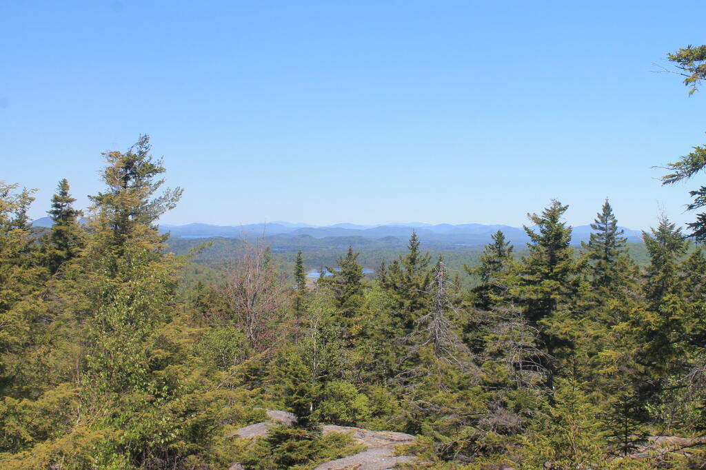 Photo: North