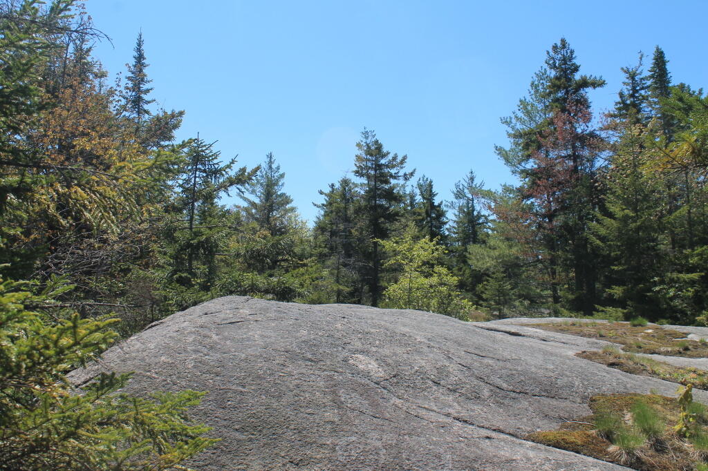 Photo: Summit