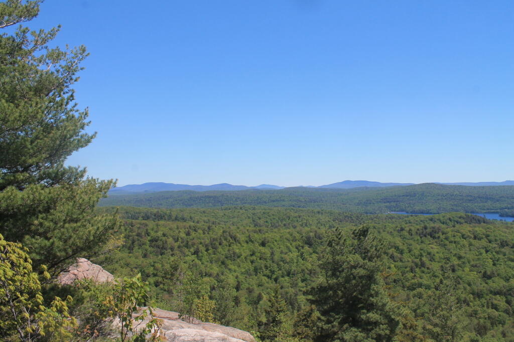 Photo: East Across Moose Plains