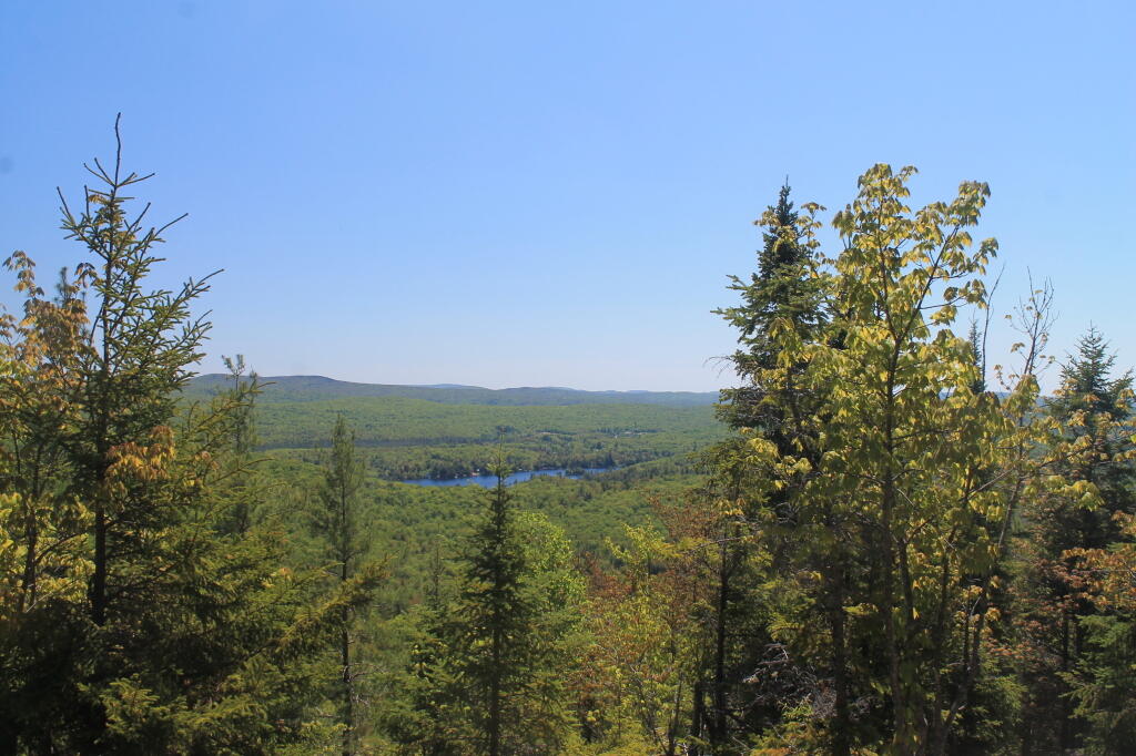 Photo: Sixth Lake Thru the Trees