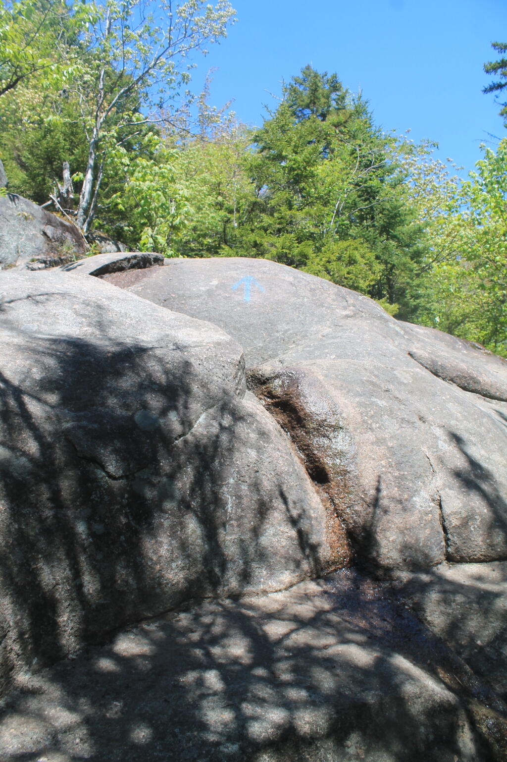 Photo: Had to Climb Up This... Hands and Knees