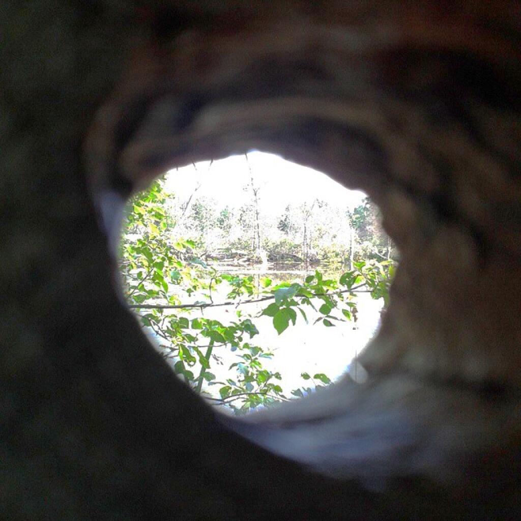 Photo: Hole