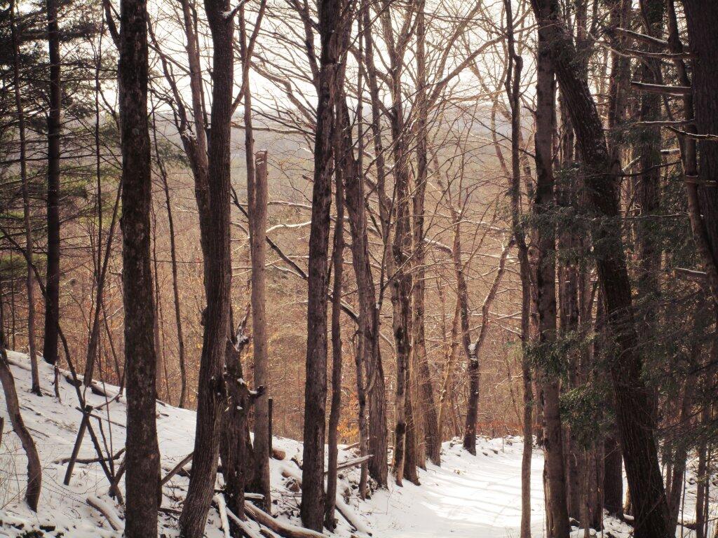 Photo: Copeland Hill Road