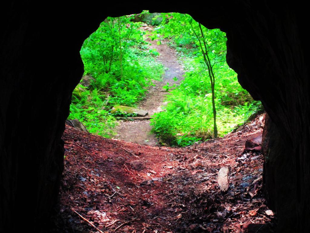 Photo: Looking Out the Kunjamunk Cave