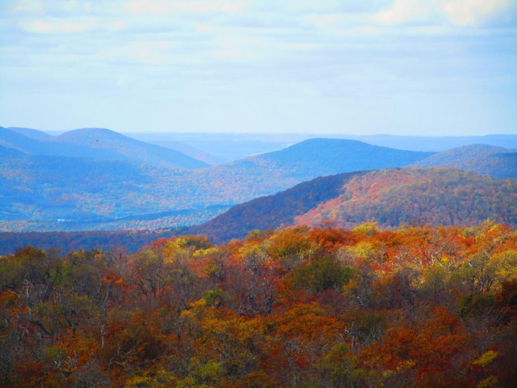 Photo: Mooreville Range and Irish Mountain