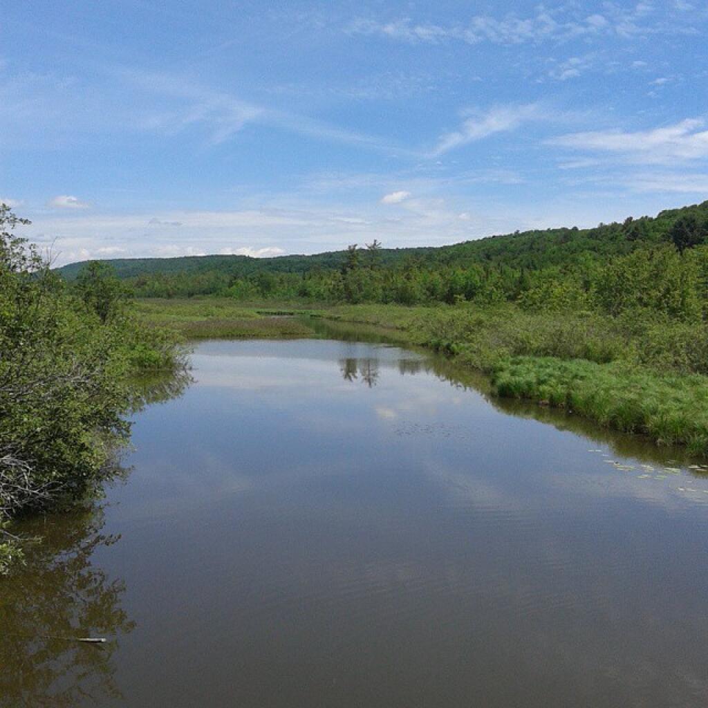 Photo: In search of bullheads on Prisoner's bridge on Beaver Creek