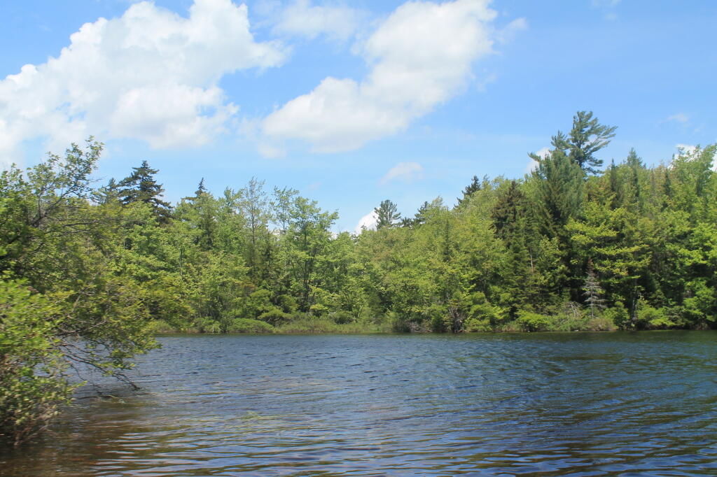 Photo: Lily Lake Photo: Lily Lake