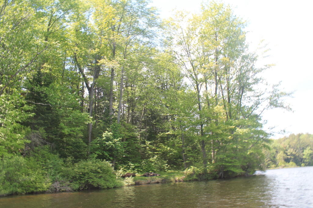 Photo: Campsite Along the Lake Photo: Campsite Along the Lake