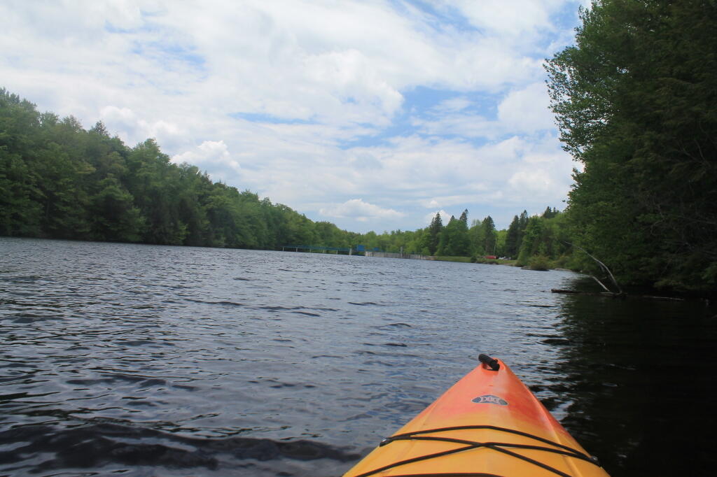Photo: Beautiful afternoon