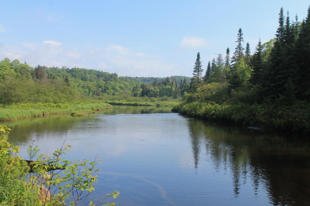 Photo: Photo.2013.06.02 10.25.28