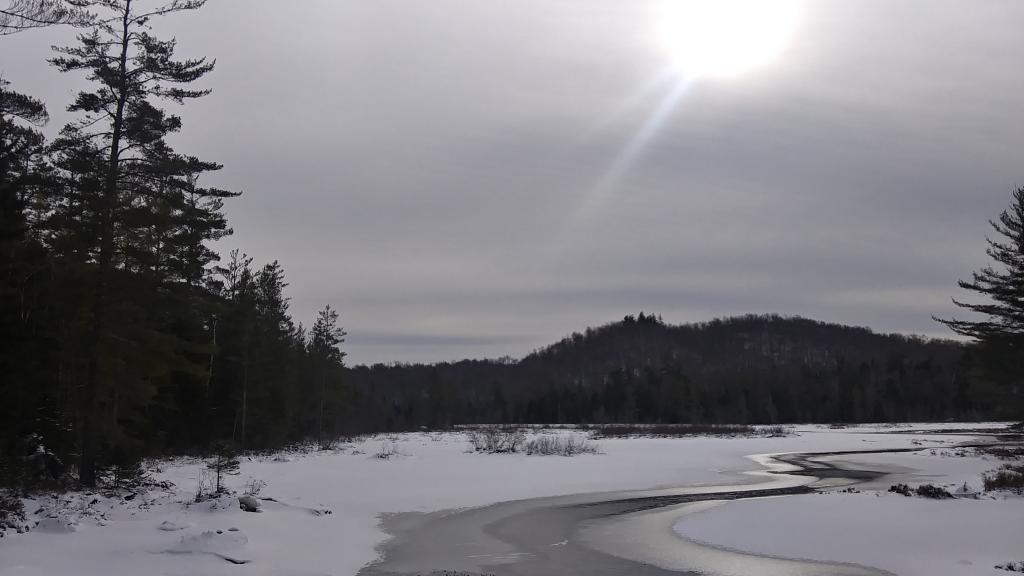 Photo: Stewart Creek
