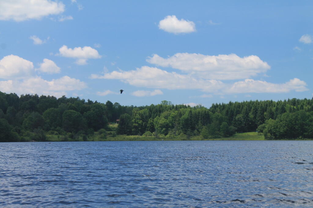 Photo: Fly Over