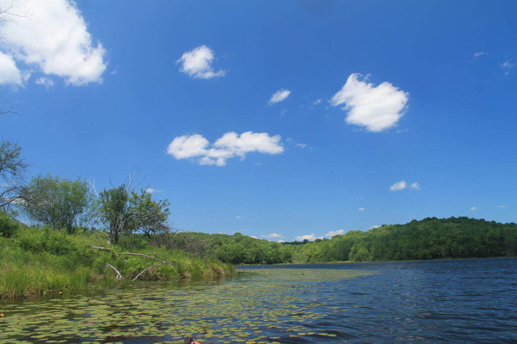 Photo: Nice Day Out