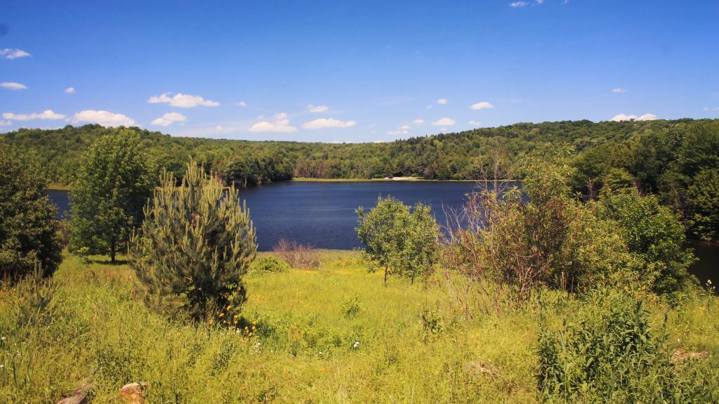 Photo: Hunts Pond from Above
