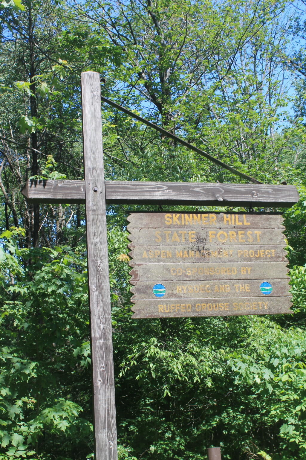 Photo: Skinner Hill State Forest Sign