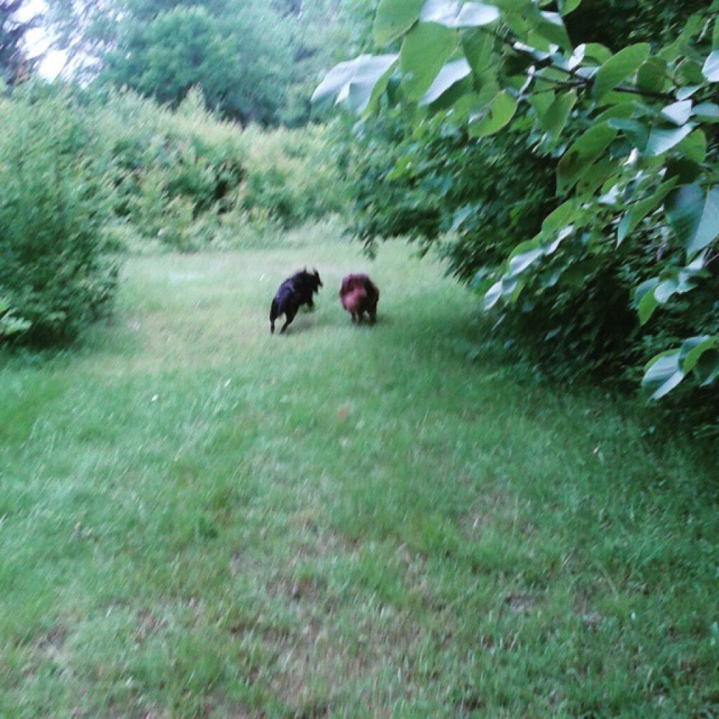 Photo: The race is on