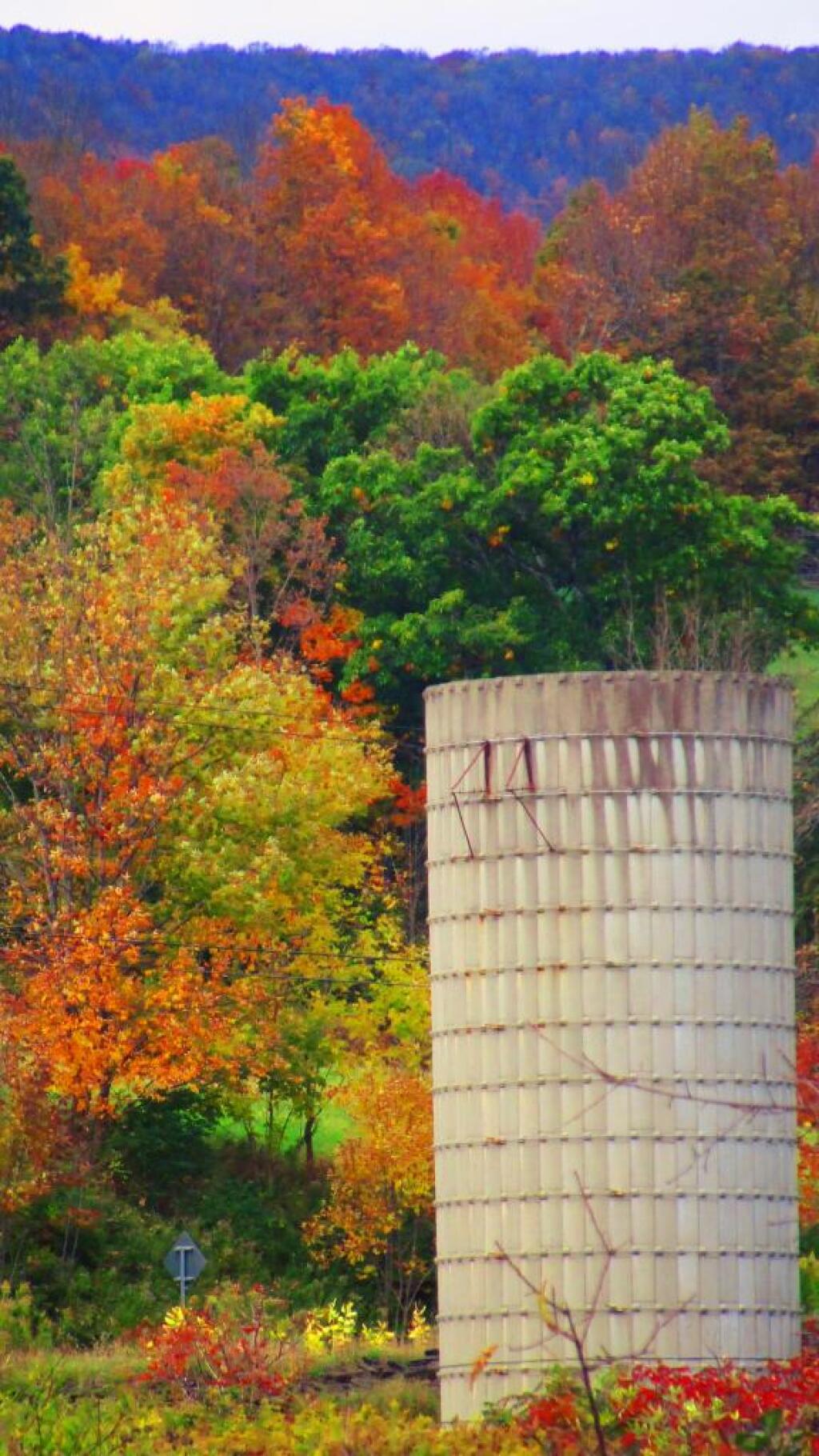 Photo: Once Held Silage