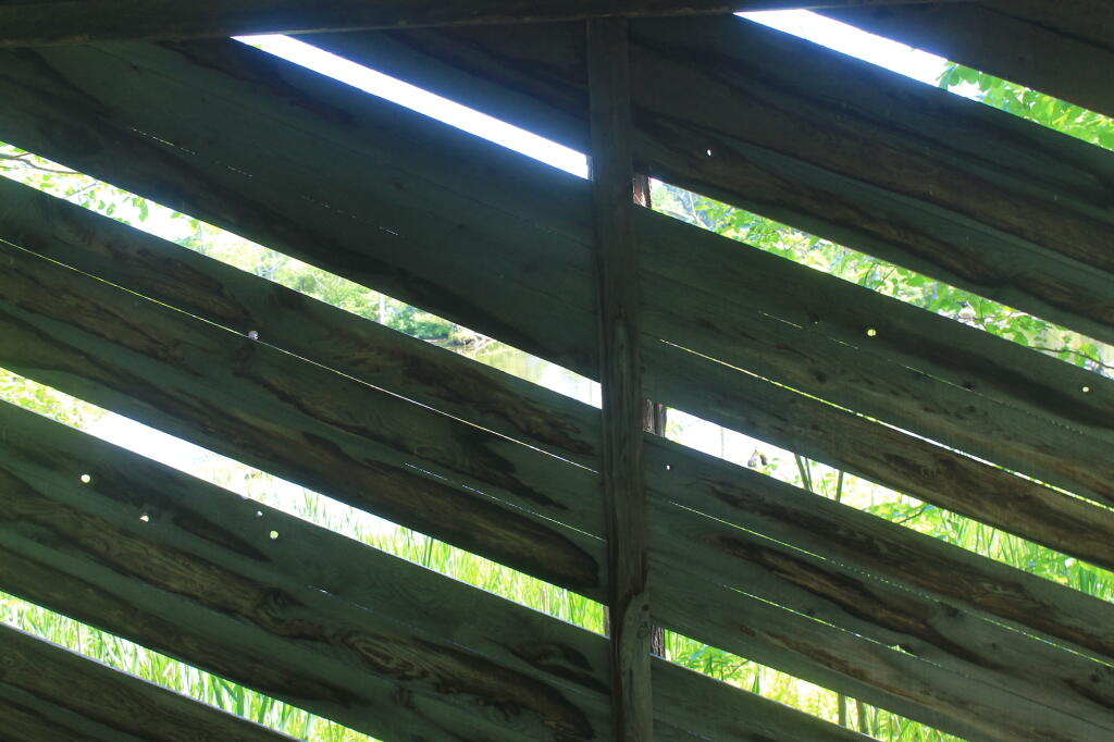 Photo: The Blind