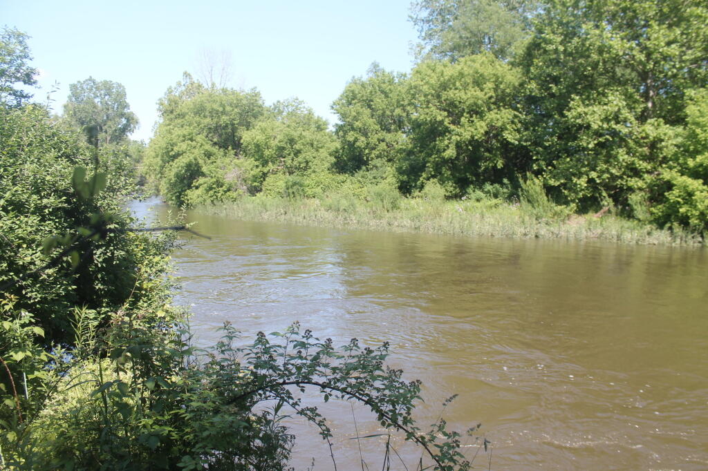 Photo: Wild Chenango River