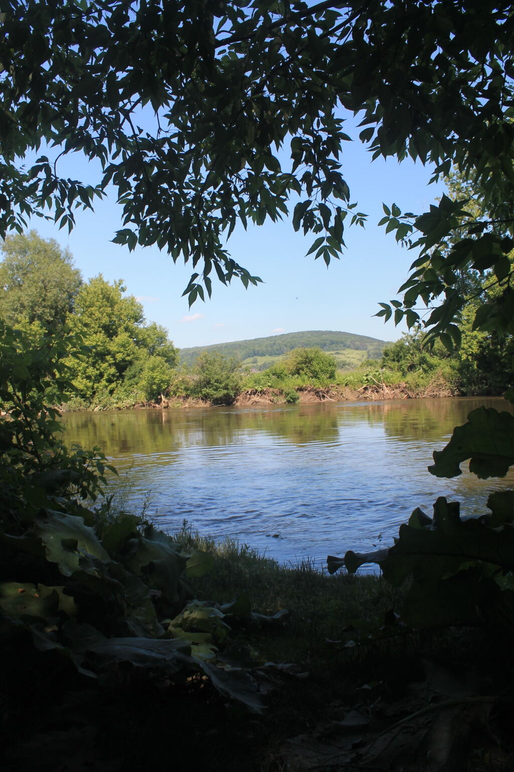 Photo: Hills in the Distance