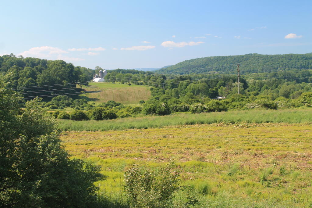 Photo: Northeast