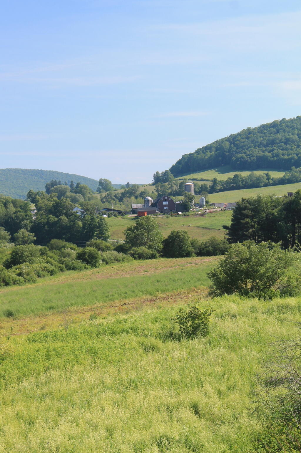 Photo: South East 2