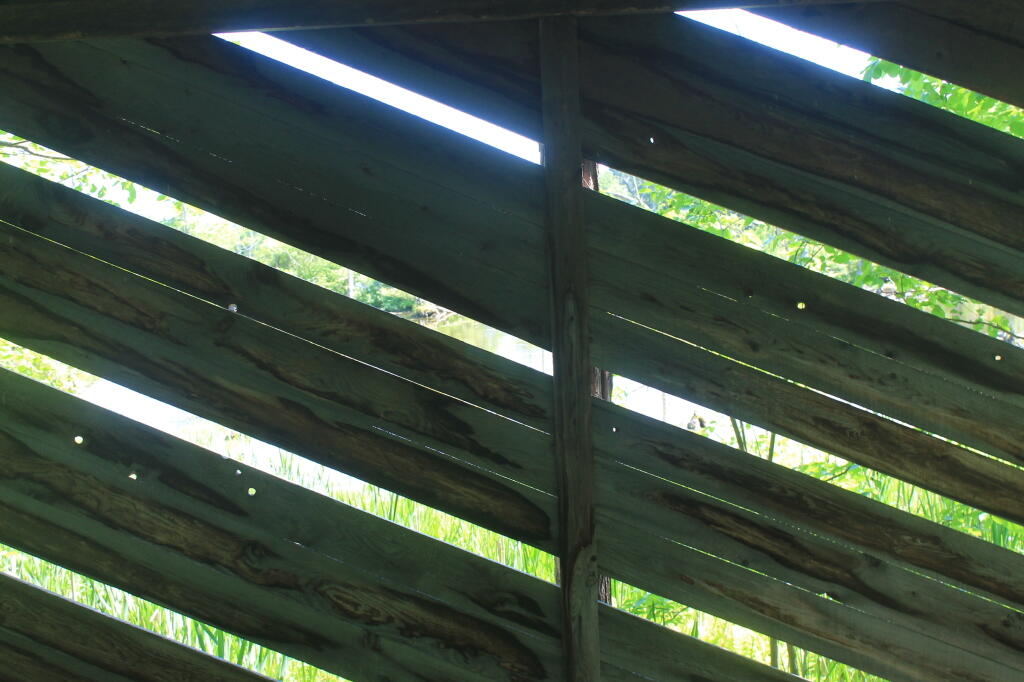 Photo: Photo.2013.06.15 16.37.19