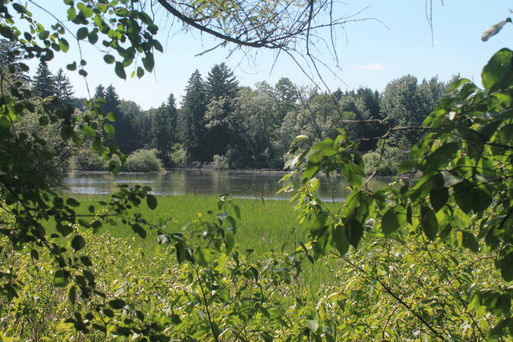 Photo: Photo.2013.06.15 16.43.34