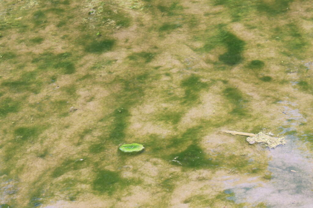 Photo: Photo.2013.06.15 16.45.59