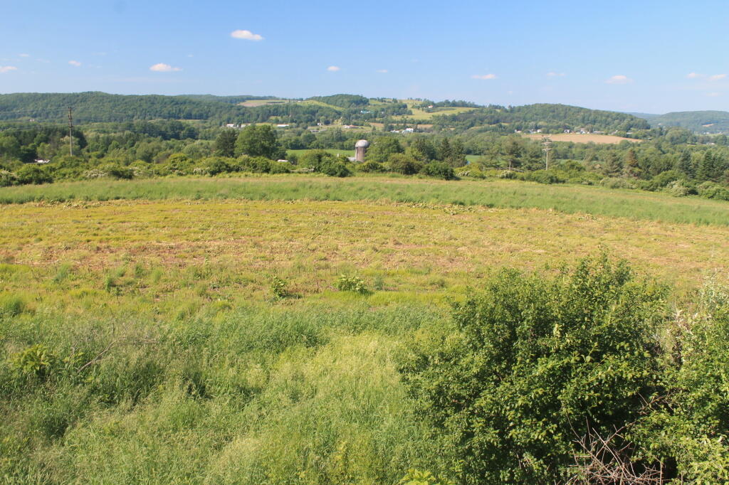 Photo: Photo.2013.06.15 17.32.14