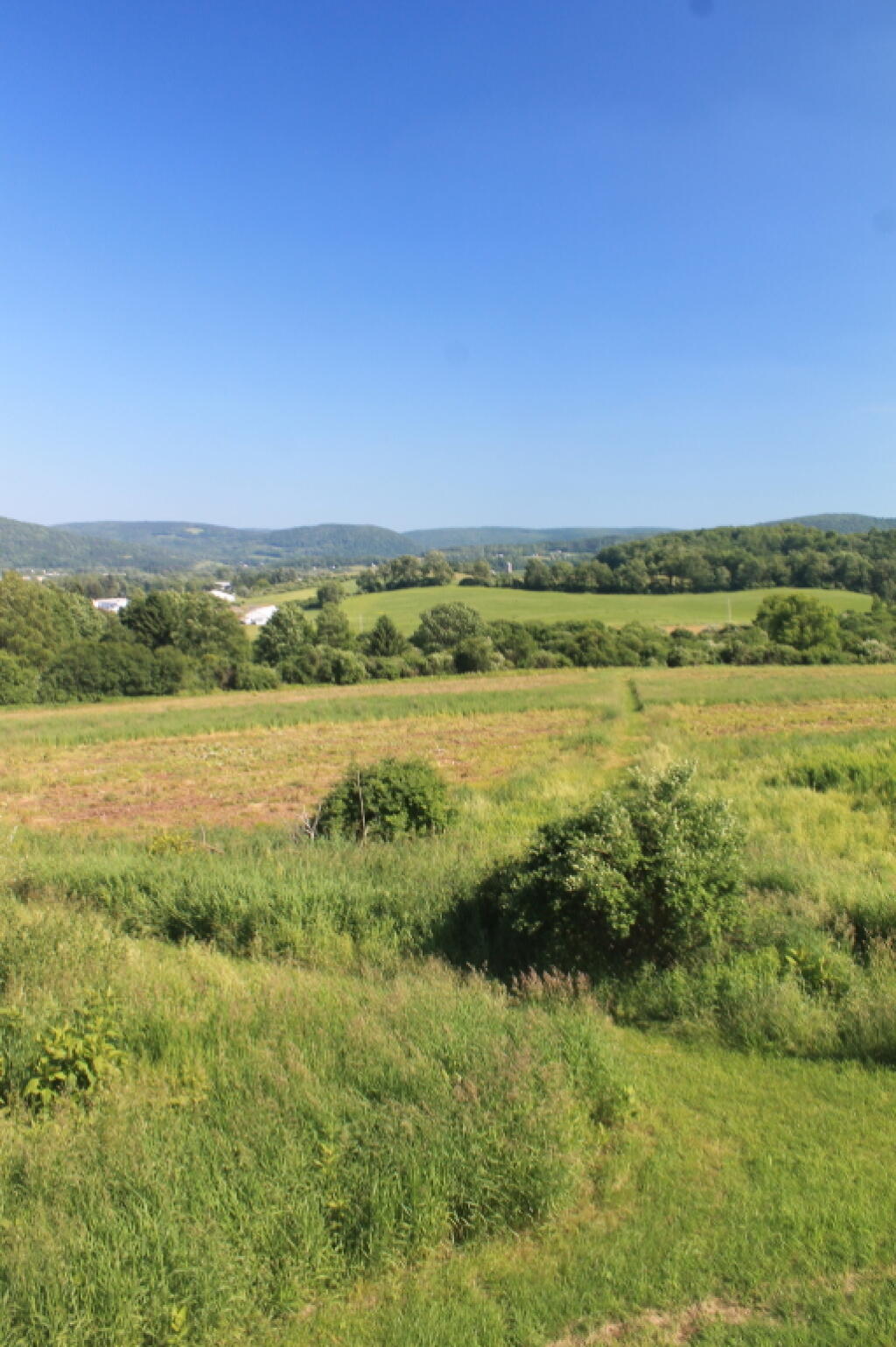 Photo: Spring Day from the Roger's Farm Tower