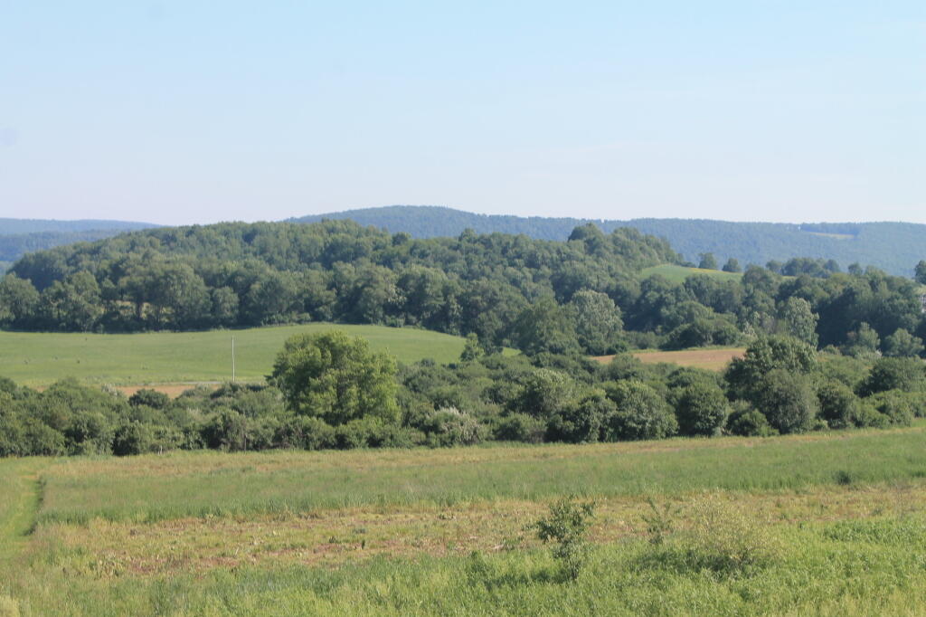 Photo: Photo.2013.06.15 17.39.43