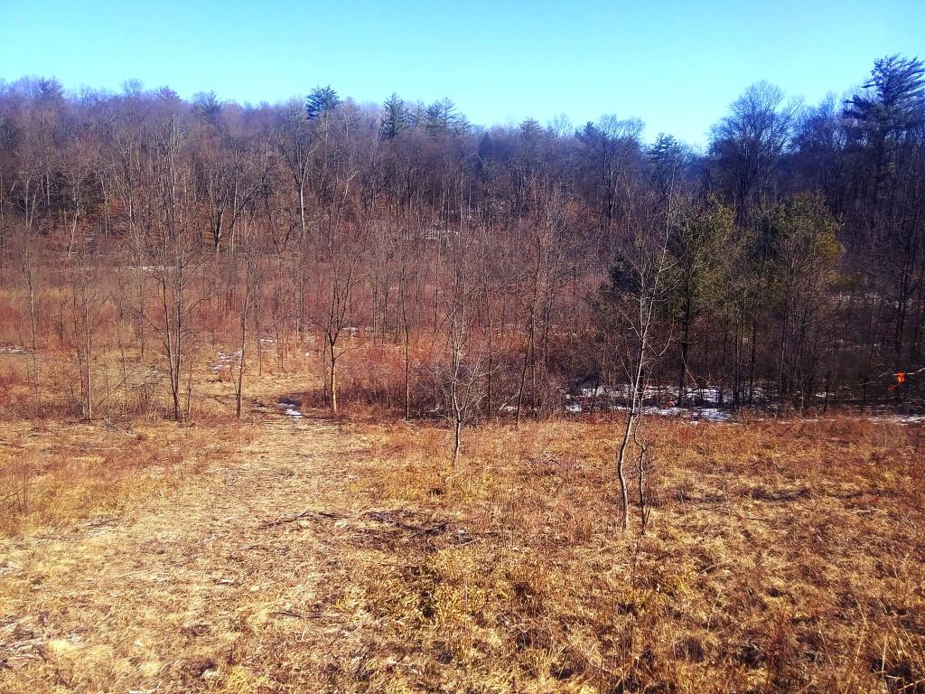 Photo: While the lands on the west side of the Coeymans Creek are easy to get to