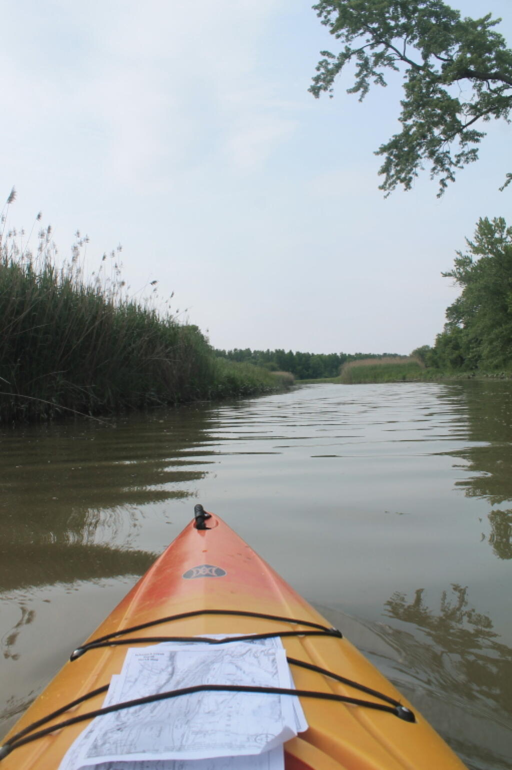 Photo: Paddling
