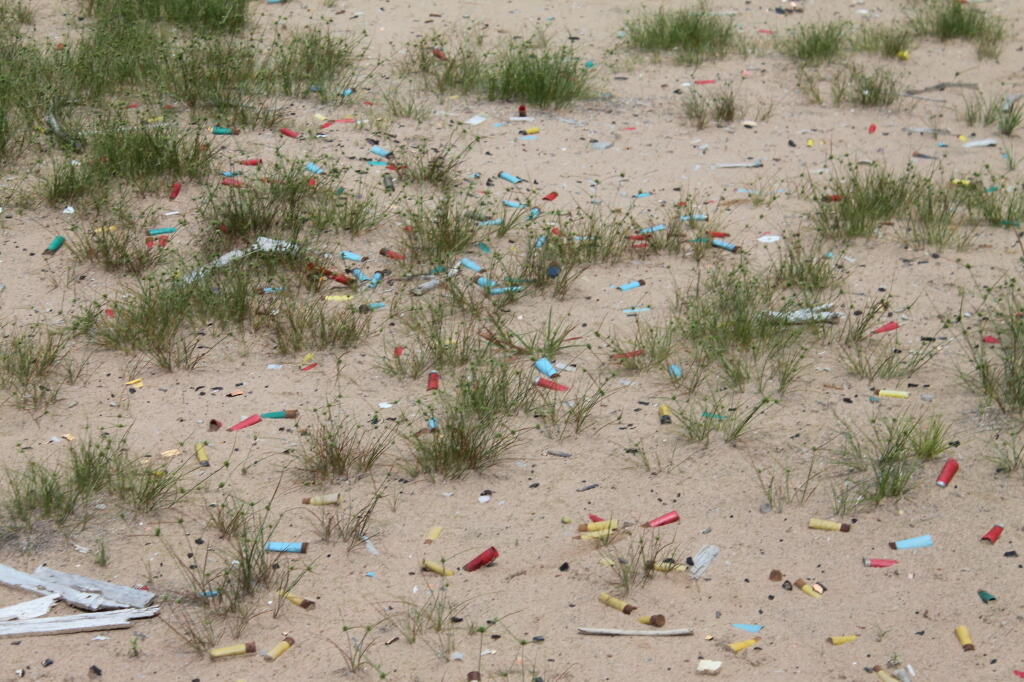 Photo: Shotgun Shells in the Sand