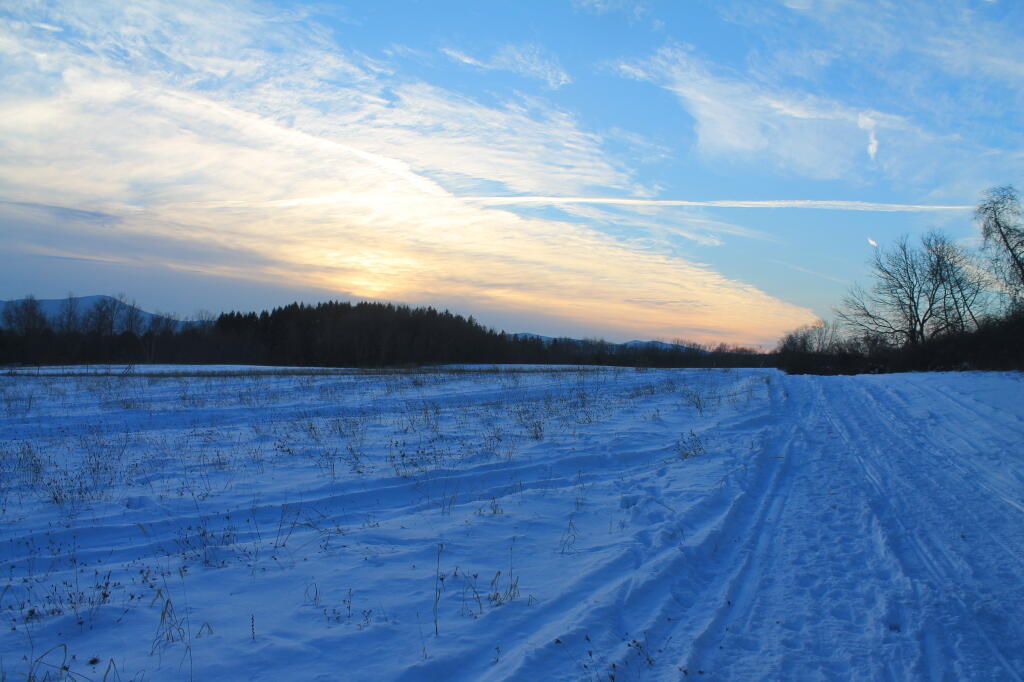 Photo: Snowmobile Trail
