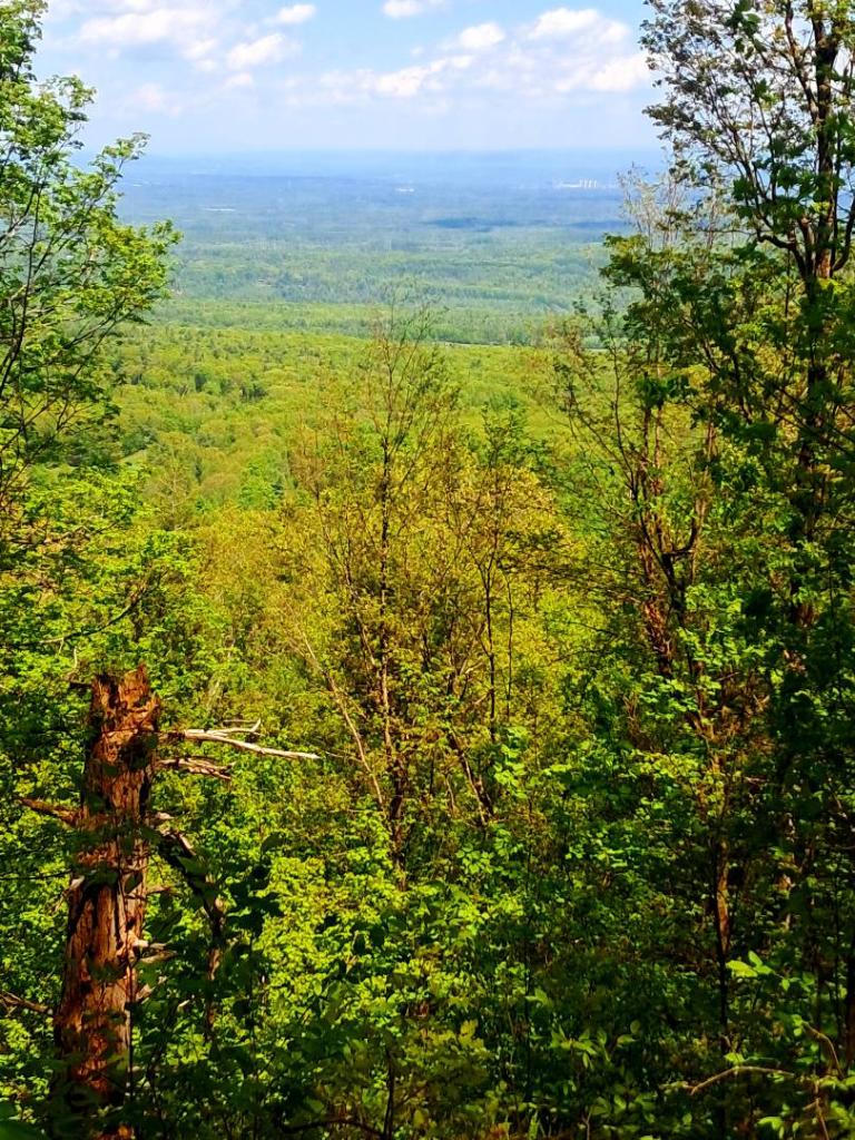 Photo: Overlook [Expires May 31 2026]