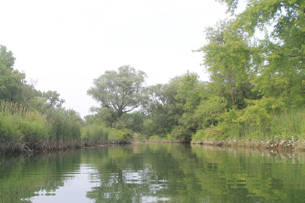 Photo: Quiet Waters