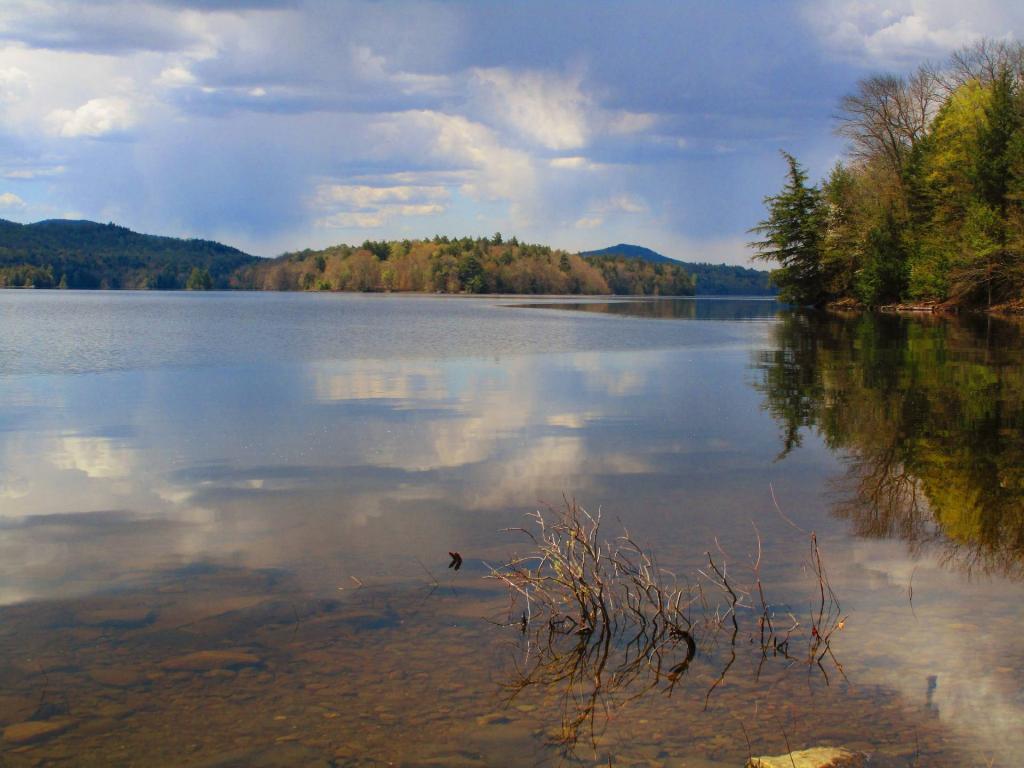 Photo: Reflections