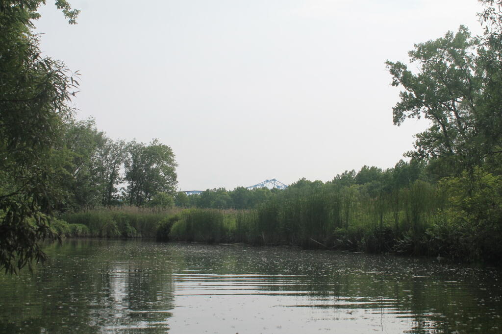 Photo: Thruway Bridge in Distance