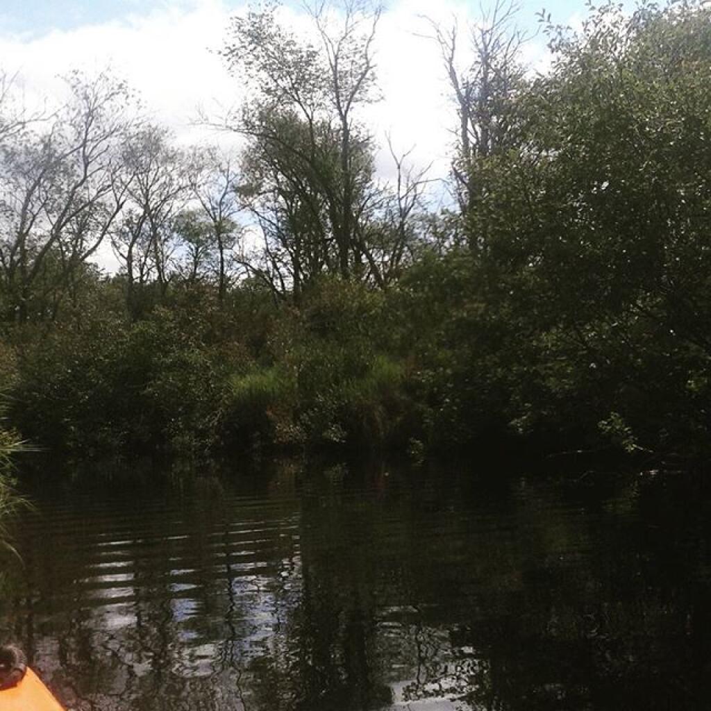 Photo: Paddling on Sunday morning