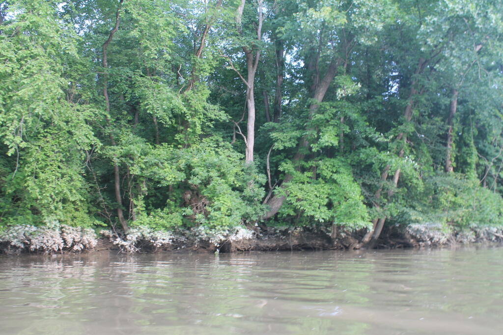 Photo: Rapidly Dropping River Levels Photo: Rapidly Dropping River Levels